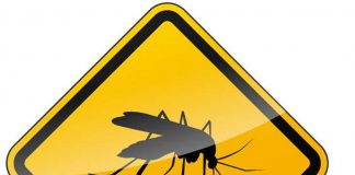 ochrona-przed-komarami-meszkami-i-kleszczami-w-przedszkolu1