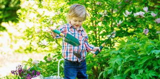 bezpieczna-zieleń-w-przedszkolnym-ogrodzie