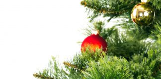 Świąteczny Konkurs Plastyczny!