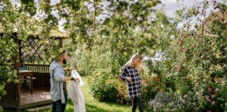 rozwiazania do ogrodu