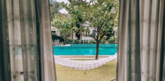 porzadki w domu i ogrodzie